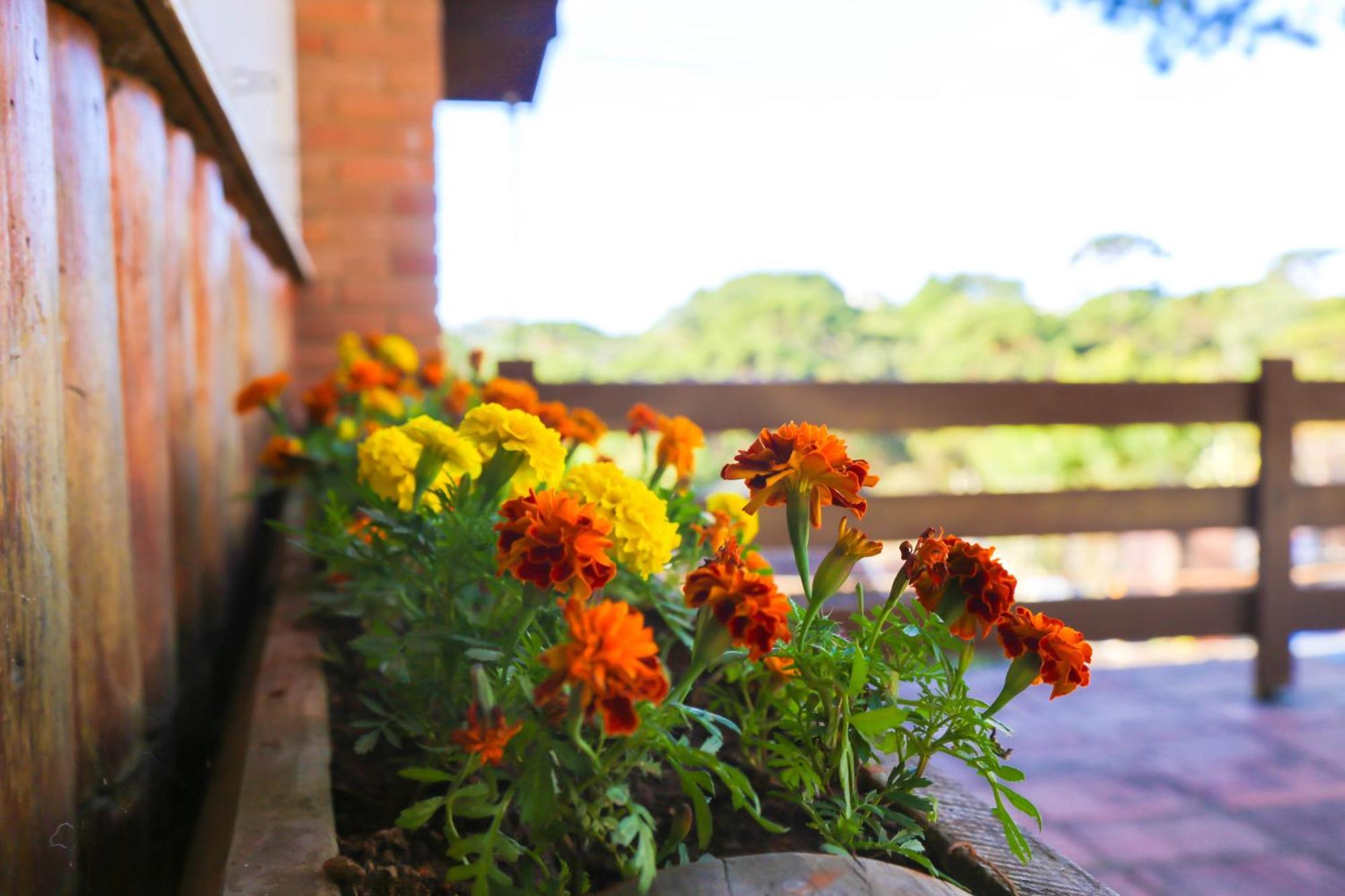 Villa Iturri Campos do Jordao Exterior photo